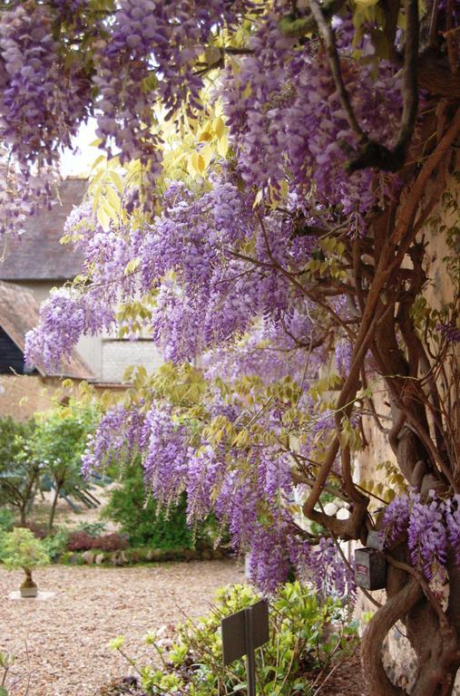 La Chaiserie La Croix-Saint-Leufroy Εξωτερικό φωτογραφία